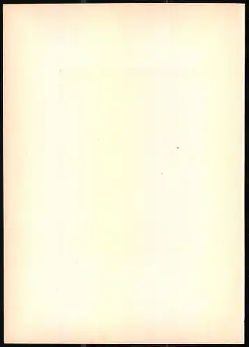 Lithographie Der Grünspecht, montierte Farblithographie aus Gefiederte Freunde von Leo Paul Robert 1880, 28 x 39cm