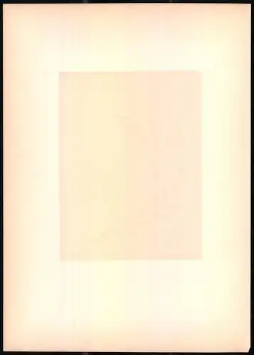 Lithographie Der Buchfink, montierte Farblithographie aus Gefiederte Freunde von Leo Paul Robert 1880, 28 x 39cm