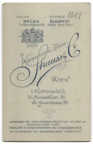 Fotografie Atelier Strauss & Co., Wien, Kohlmarkt 5, älterer Herr im Anzug