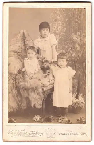 Fotografie K. Weber, Weissenburg i.E., Karl, Maria und Erna in weissen Kleidern