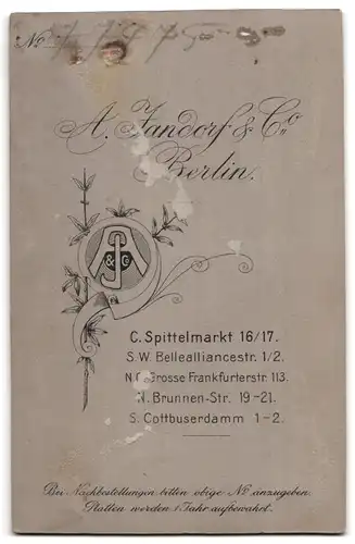 Fotografie A. Jandorf & Co., Berlin, Spittelmarkt 16 /17, Portrait Dame im verzierten Kleid mit Halskette und Locken