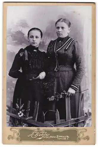 Fotografie A. Wehle, Zittau i. S., Hospitalstr. 8, Portrait Mutter und Tochter in Biedermeierkleidern mit Brosche