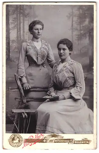 Fotografie Max Rother, Rosswein, Mittelstrasse 17, Portrait zwei junge Damen in hübschen Kleidern