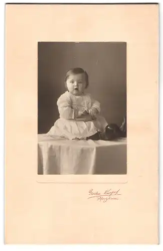 Fotografie Geschw. Knopf, Pforzheim, Portrait süsses Kleinkind im Kleid