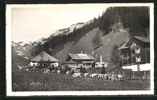 AK Lenk i. S., Kuhherde passiert Dorf