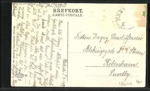 AK Hästveda, Strassenpartie mit Wohnhäusern