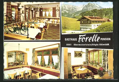 AK Obermaiselstein /Allgäu, Vier Ansichten von Gasthaus-Pension Forelle