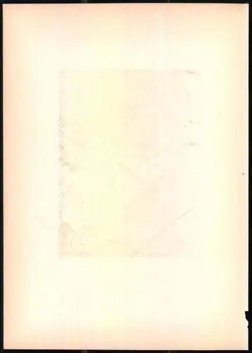 Lithographie Der Bergfink, montierte Farblithographie aus Gefiederte Freunde von Leo Paul Robert 1880, 28 x 39cm