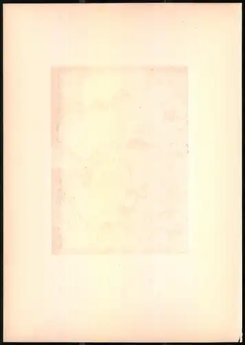 Lithographie Der Garten-Laubsänger, montierte Farblithographie aus Gefiederte Freunde von Leo Paul Robert 1880