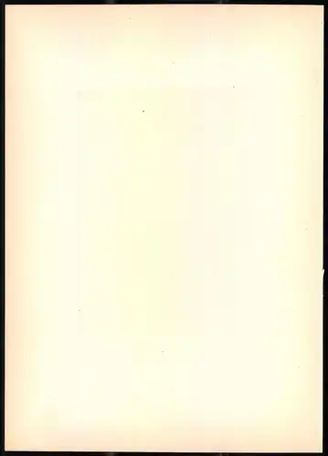 Lithographie Die Dorfschwalbe, montierte Farblithographie aus Gefiederte Freunde von Leo Paul Robert 1880, 28 x 39cm