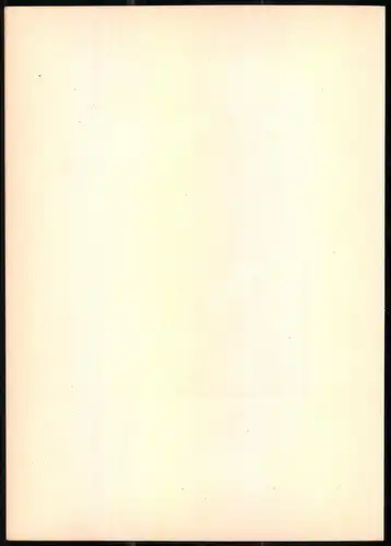 Lithographie Der Thurmfalke, montierte Farblithographie aus Gefiederte Freunde von Leo Paul Robert 1880, 28 x 39cm