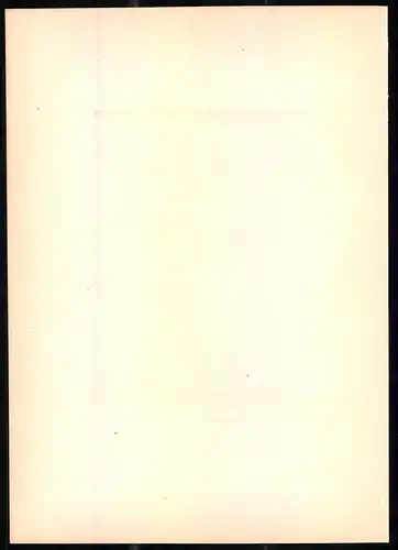 Lithographie Der Baumläufer, montierte Farblithographie aus Gefiederte Freunde von Leo Paul Robert 1880, 28 x 39cm