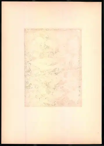 Lithographie Die Garten-Grasmücke, montierte Farblithographie aus Gefiederte Freunde von Leo Paul Robert 1880, 28 x 39cm