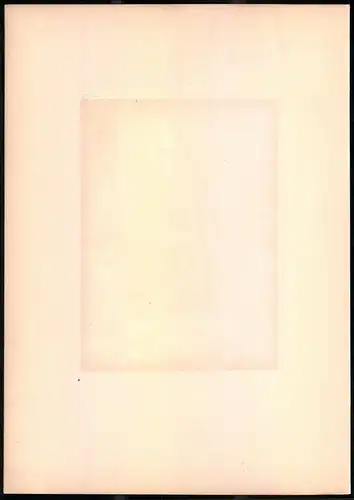 Lithographie Das Rothkehlchen, montierte Farblithographie aus Gefiederte Freunde von Leo Paul Robert 1880, 28 x 39cm