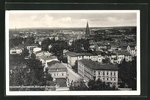 AK Eberswalde, Blick vom Drachenkopf