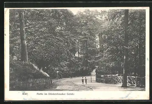 AK Kiel, Partie am Düsternbrooker Gehölz