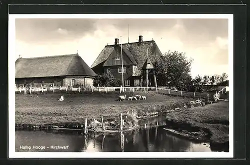 AK Hallig Hooge, Kirchwarf