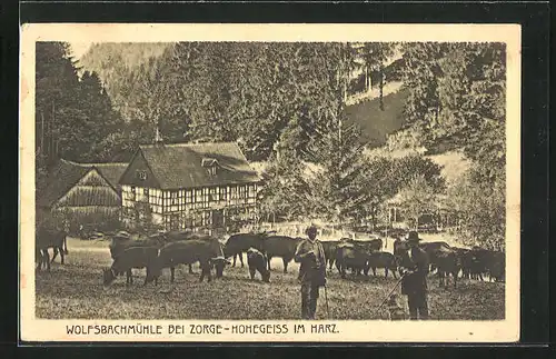 AK Zorge-Hohegeiss / Harz, an der Wolfsbachmühle