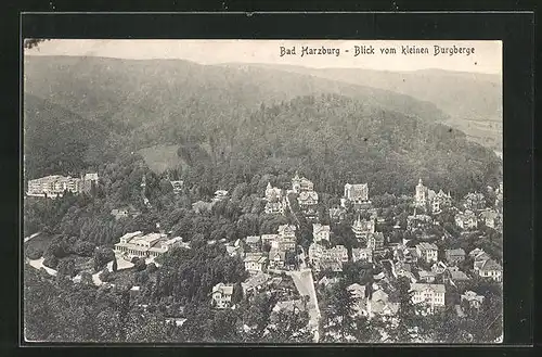 AK Bad Harzburg, Panoramablick vom kleinen Burgberge