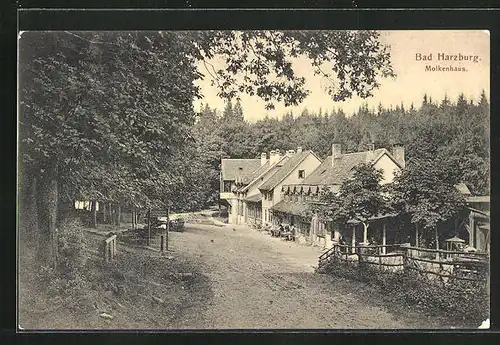 AK Bad Harzburg, am Gasthaus Molkenhaus