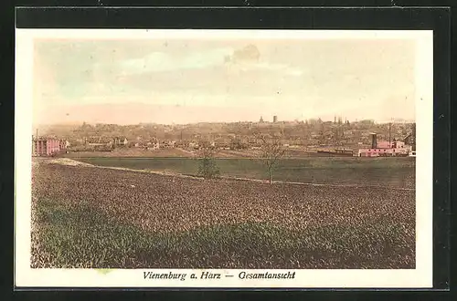 AK Vienenburg / Harz, Gesamtansicht