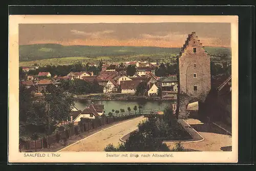 AK Saalfeld i. Thür., Saaltor mit Blick nach Altsaalfeld