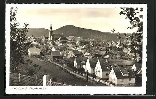 AK Stadtsteinach /Frankenwald, Gesamtansicht