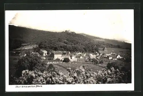 AK Bad Gleisweiler / Pfalz, Totalansicht