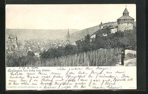 AK Esslingen, Die Burg von Süden