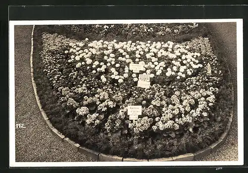 AK St. Gallen, Blumenbeet bei der Gartenbau-Ausstellung