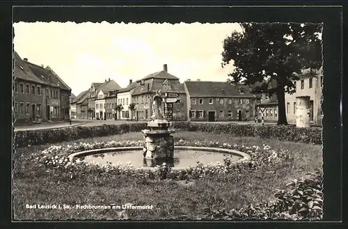 AK Bad Lausick i. Sa., der Fischbrunnen am Untermarkt