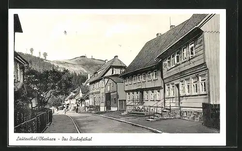 AK Lautenthal im Oberharz, Häuser im Bischofsthale