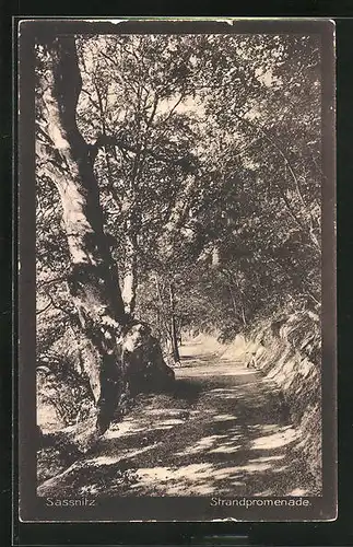 AK Sassnitz, auf der Strandpromenade