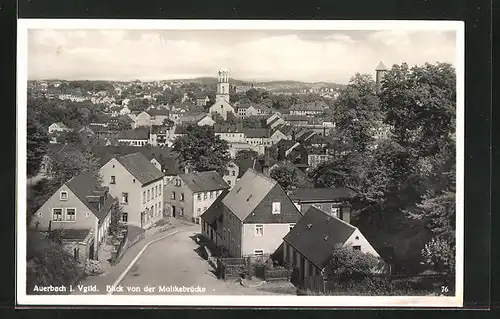 AK Auerbach i. Vgtld., Blick von der Moltkebrücke auf die Stadt