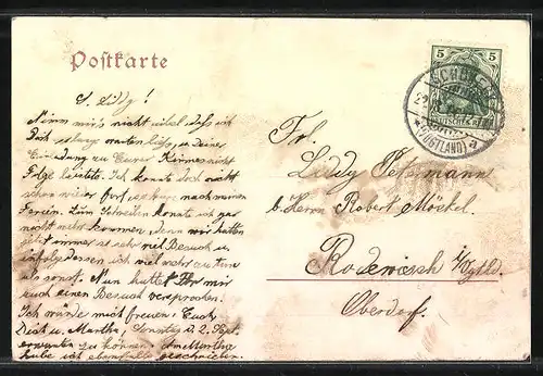 AK Schöneck i. V., Parkanlagen mit Stadtblick, Frauen in Trachten