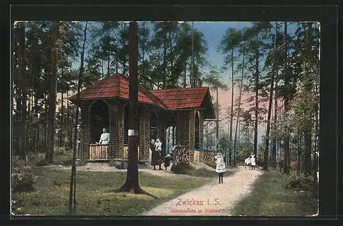 AK Zwickau i. Sa., Heinrichsruhe im Stadtwald