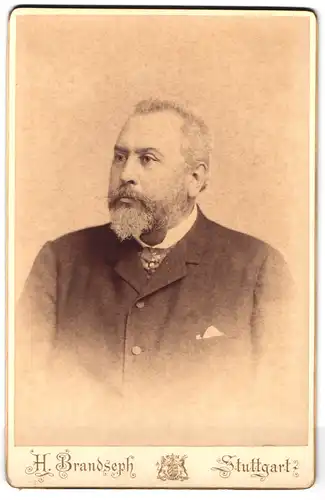 Fotografie H. Brandseph, Stuttgart, Marienstr. 36, Portrait älterer Herr im Anzug mit Vollbart