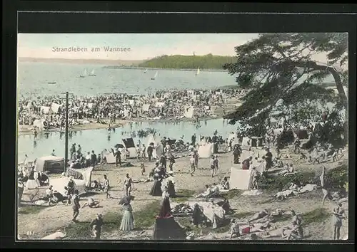 AK Berlin-Wannsee, Strandleben am Wannsee