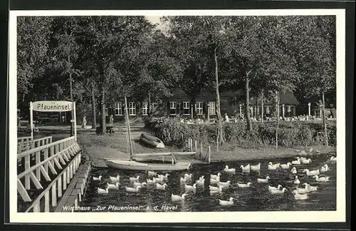 AK Berlin-Wannsee, Gasthaus zur Pfaueninsel