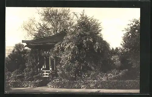 AK Berlin-Steglitz, Botanischer Garten Dahlem, Japanische Laube