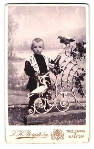 Fotografie L. H. Borgström, Trelleborg, Portrait kleiner Junge im Anzug in einer Studiokulisse mit Tauben