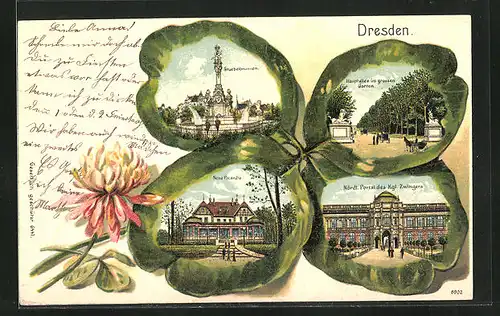 Passepartout-Lithographie Dresden, Stuebelbrunnen, Neue Picardie, Gr. Garten mit Hauptallee
