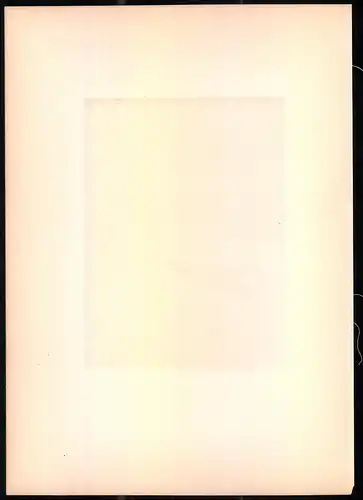 Lithographie Die Weisse Bachstelze, montierte Farblithographie aus Gefiederte Freunde von Leo Paul Robert 1880