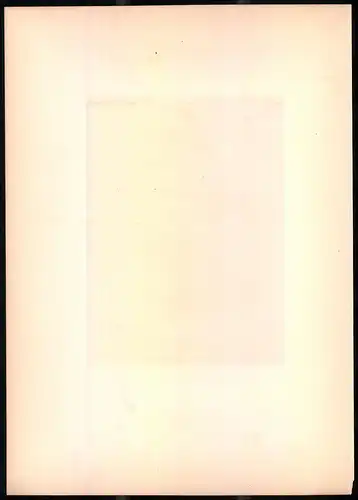 Lithographie Der Wiesenpieper, montierte Farblithographie aus Gefiederte Freunde von Leo Paul Robert 1880, 28 x 39cm