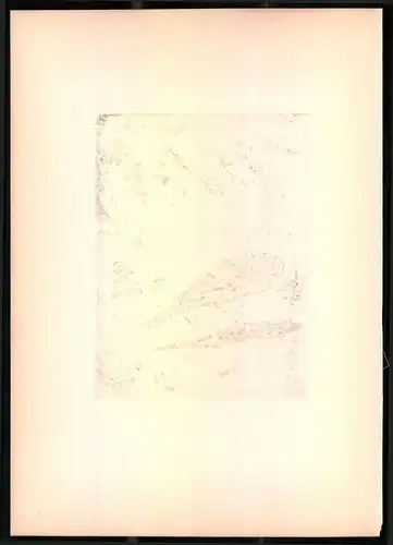 Lithographie Die Gelbe Bachstelze, montierte Farblithographie aus Gefiederte Freunde von Leo Paul Robert 1880, 28 x 39cm