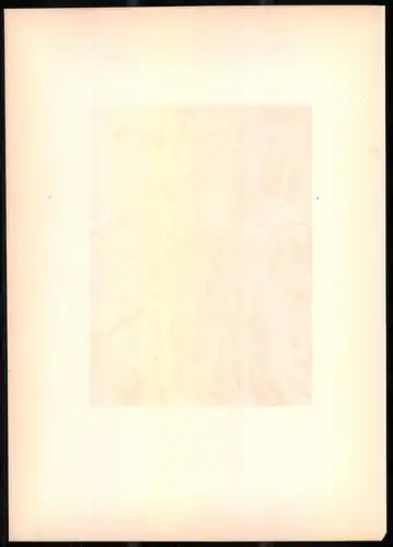 Lithographie Der Grünling, montierte Farblithographie aus Gefiederte Freunde von Leo Paul Robert 1880, 28 x 39cm