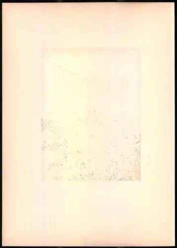 Lithographie Die Schwarzköpfige Grasmücke, montierte Farblithographie aus Gefiederte Freunde von Leo Paul Robert 1880