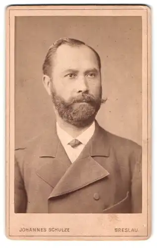 Fotografie Johannes Schulz, Breslau, Matthias-Platz 13, Portrait stattlicher Herr im Anzug mit Vollbart