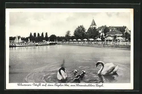 AK Berlin-Tegel, Schwanen-Idyll auf dem Tegeler See am Strandschloss Tegel mit Gasthaus