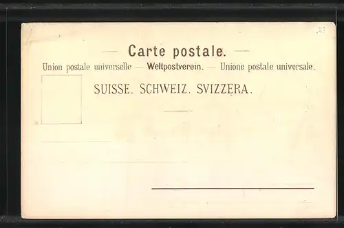 Lithographie Aarau, Ortsansicht vom Alpenzeiger aus